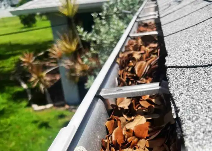 Lake Forest Park gutter cleaning home page